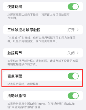 高唐苹果授权维修站分享iPhone轻点无法唤醒怎么办 