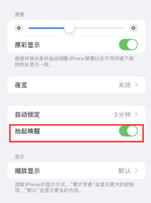 高唐苹果授权维修站分享iPhone轻点无法唤醒怎么办