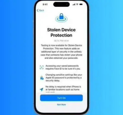 高唐苹果授权维修店分享被盗设备保护功能开启方法 