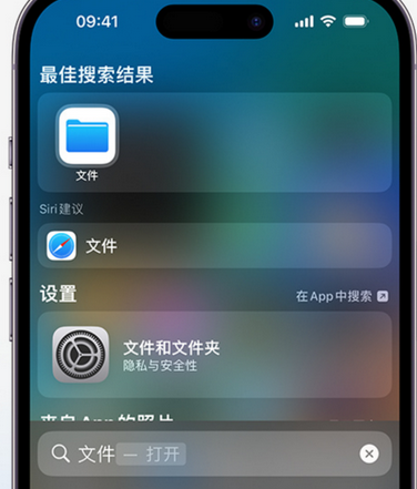 高唐apple维修中心分享iPhone文件应用中存储和找到下载文件 