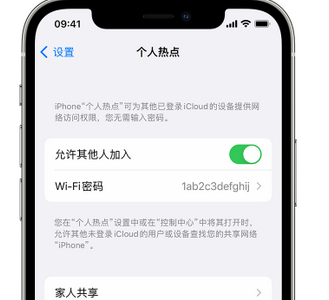 高唐apple服务站点分享iPhone上个人热点丢失了怎么办 