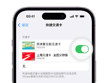 高唐apple维修点分享iPhone上更换Apple Pay快捷交通卡手绘卡面 