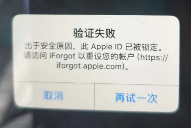 高唐iPhone维修分享iPhone上正常登录或使用AppleID怎么办 