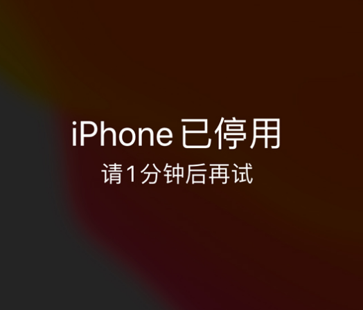 高唐苹果手机维修分享:iPhone 显示“不可用”或“已停用”怎么办？还能保留数据吗？ 