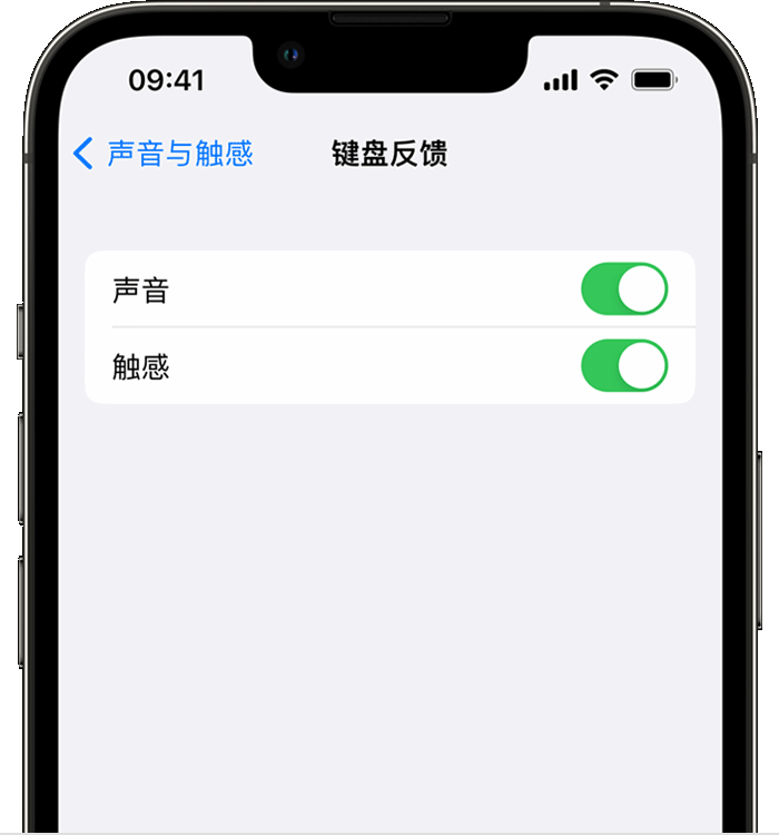 高唐苹果14维修店分享如何在 iPhone 14 机型中使用触感键盘 