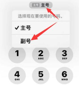 高唐苹果14维修店分享iPhone 14 Pro Max使用副卡打电话的方法 