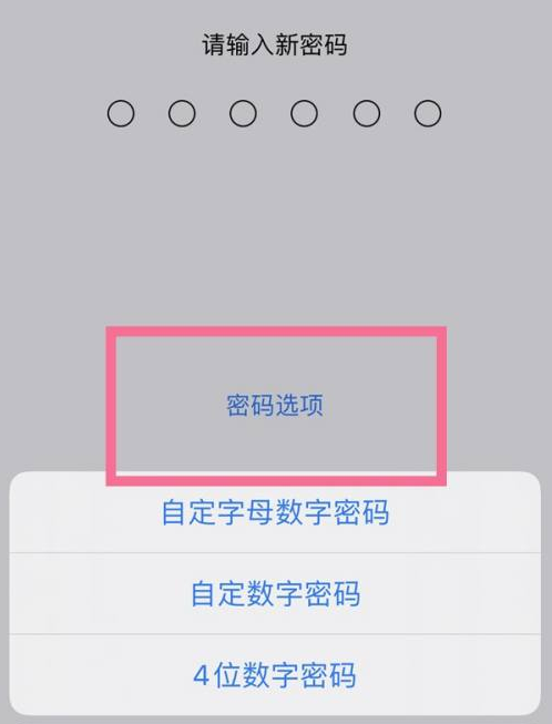 高唐苹果14维修分享iPhone 14plus设置密码的方法 