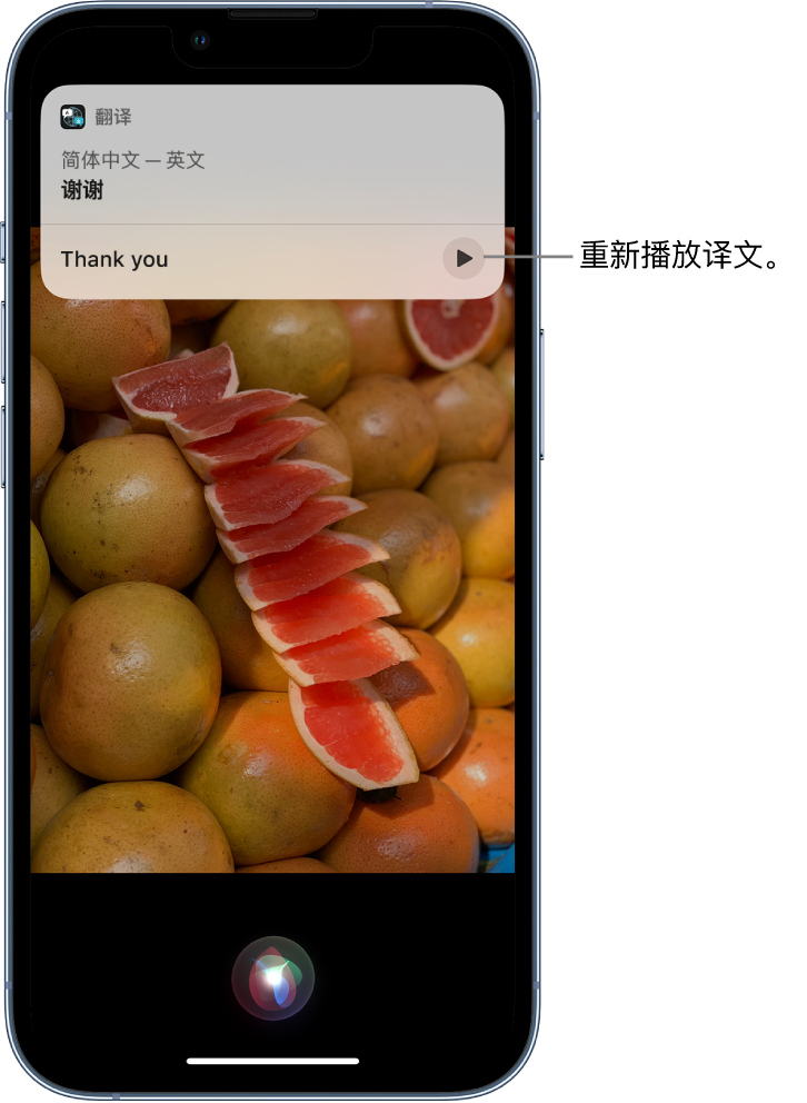 高唐苹果14维修分享 iPhone 14 机型中使用 Siri：了解 Siri 能帮你做什么 