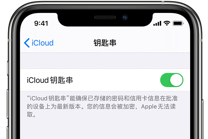 高唐苹果手机维修分享在 iPhone 上开启 iCloud 钥匙串之后会储存哪些信息 